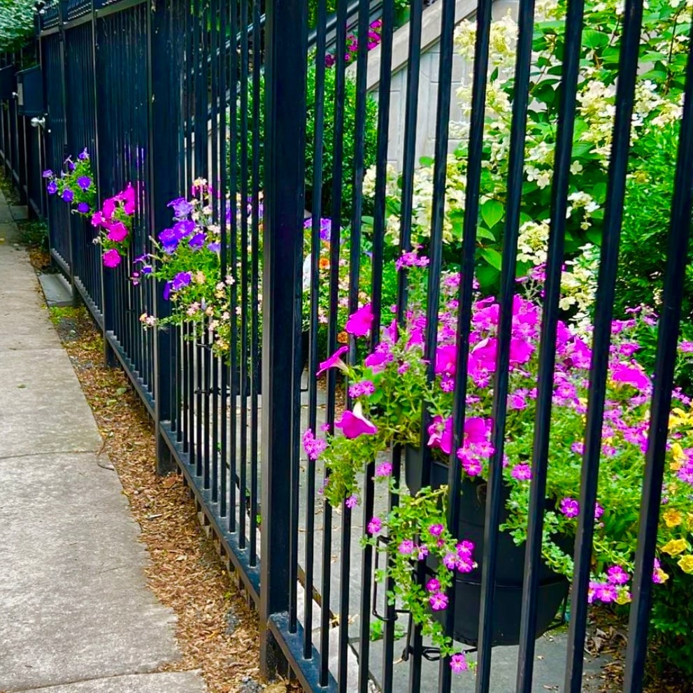 🌻Create a Serene Oasis: Floating Garden Railing Flower Pot Stand