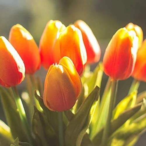 🌷Bring Nature Indoors: Set of 10 Exquisite Artificial Latex Tulips