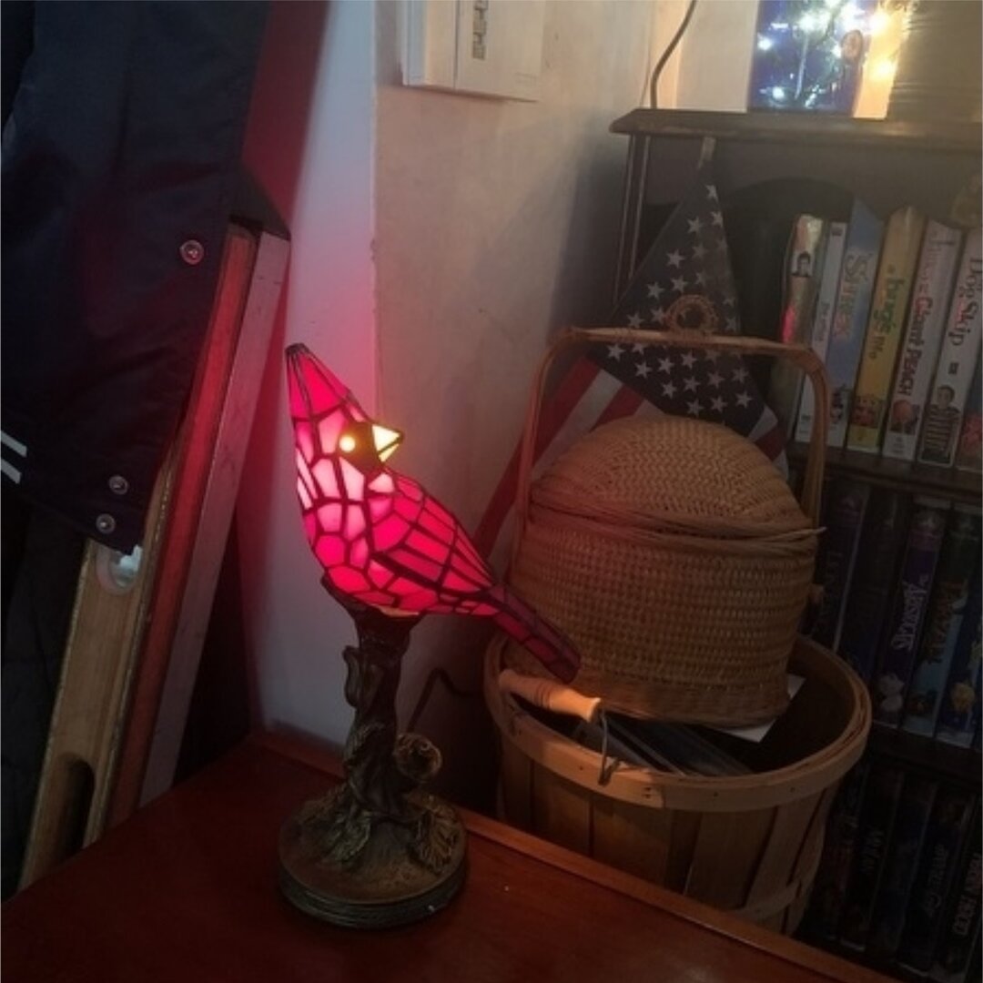 Handcrafted Cardinal Bird Lighted Art Novelty Lamp - Illuminate Your Home with Elegance!